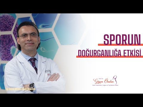 Prof. Dr. Göğşen Önalan